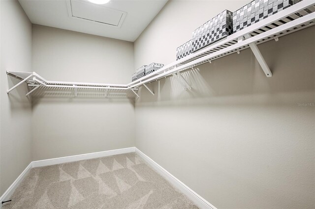 spacious closet with carpet and attic access