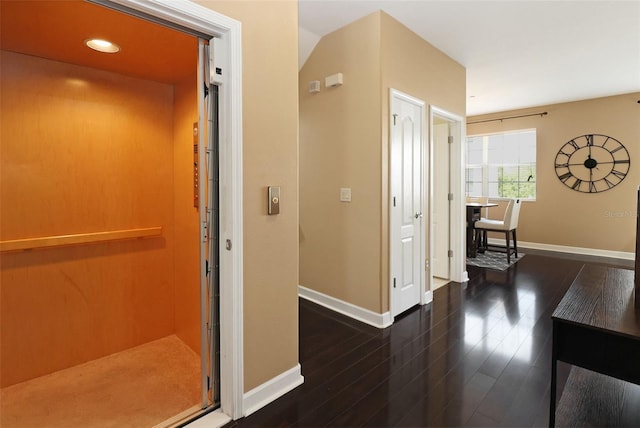 hallway with dark hardwood / wood-style floors and elevator