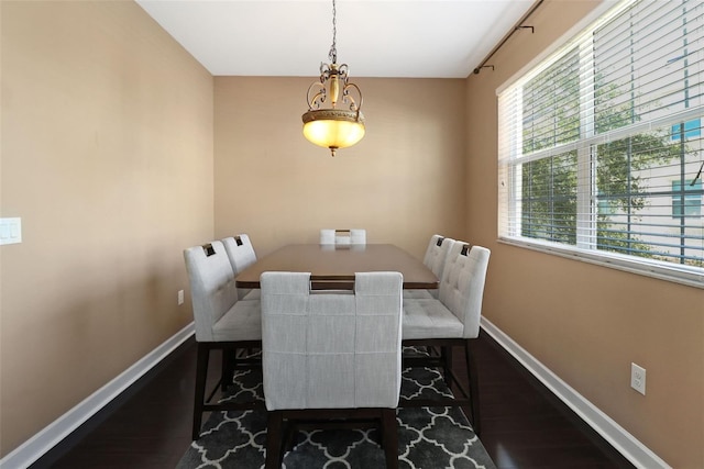 dining room with dark hardwood / wood-style floors