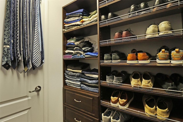 view of spacious closet