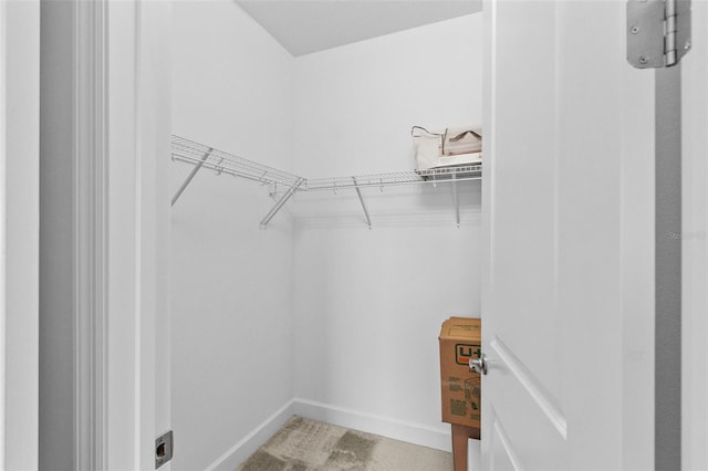 spacious closet with carpet