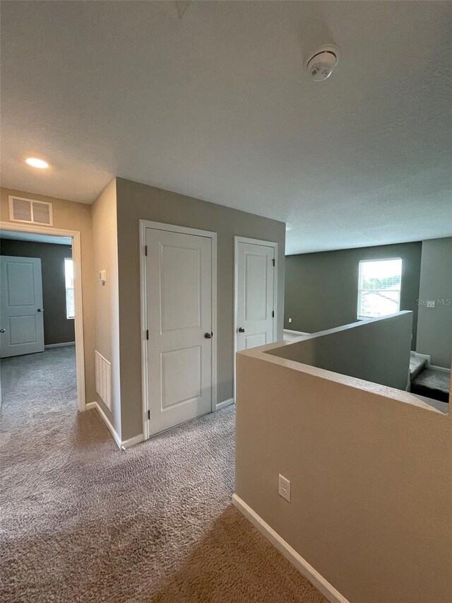 hallway featuring carpet floors