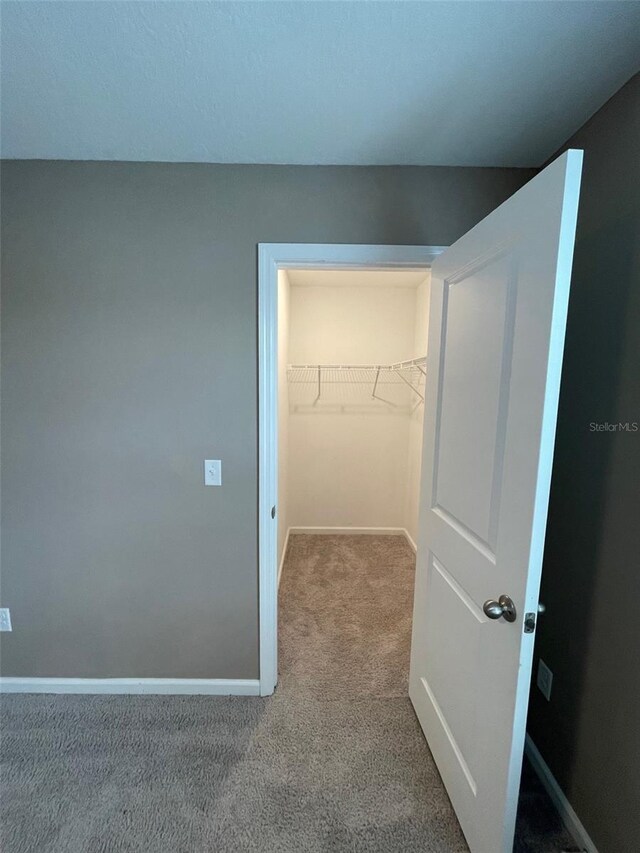 spacious closet featuring carpet