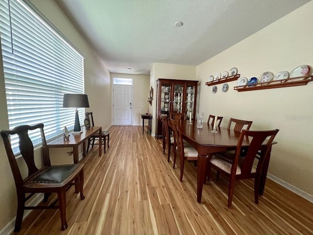 dining room featuring plenty of natural light and wood-type flooring