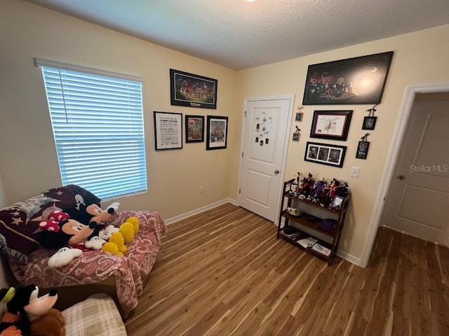 interior space featuring wood-type flooring and a textured ceiling