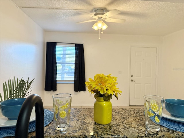 interior space with ceiling fan and a textured ceiling