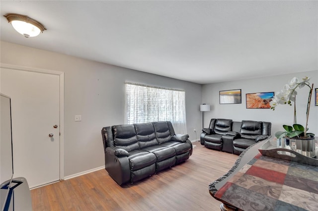 living room with hardwood / wood-style floors