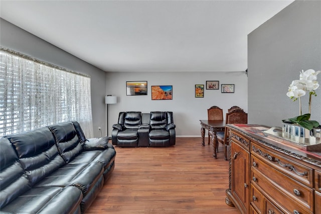 living room featuring light hardwood / wood-style flooring