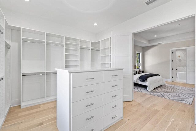 spacious closet featuring light wood-type flooring