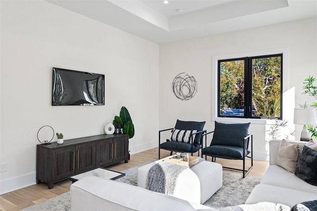 living room with light hardwood / wood-style floors and a raised ceiling