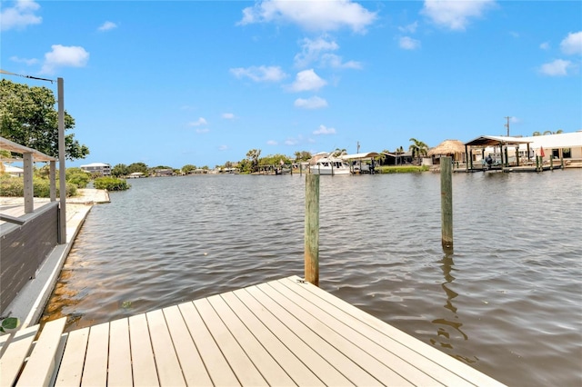 dock area with a water view