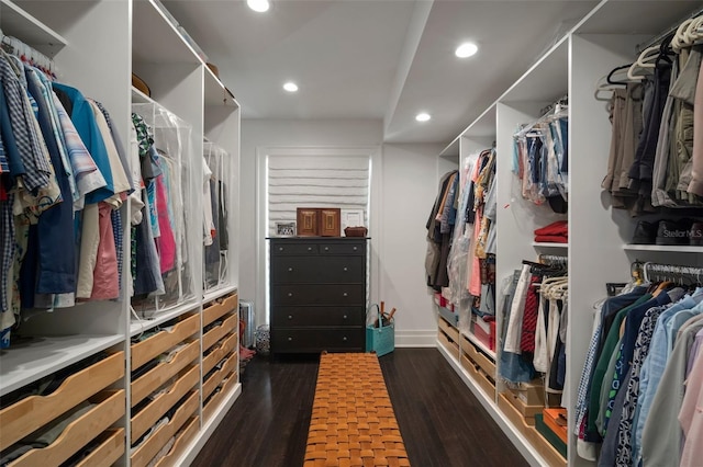 spacious closet with dark wood-type flooring