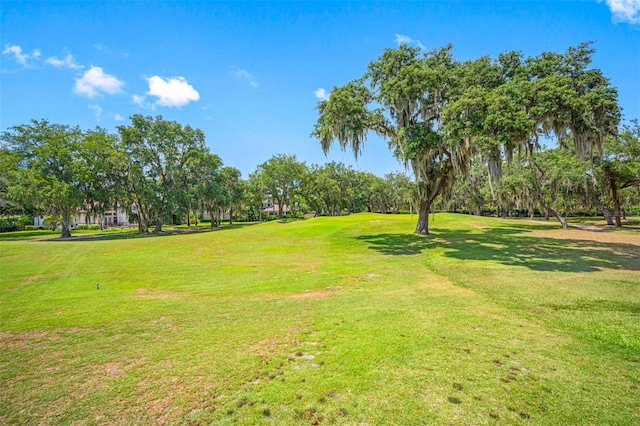 1227 Toscano Dr, Trinity, FL 34655 - view of grassy yard with view of scattered trees and view of golf course