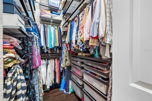 spacious closet featuring dark wood-type flooring