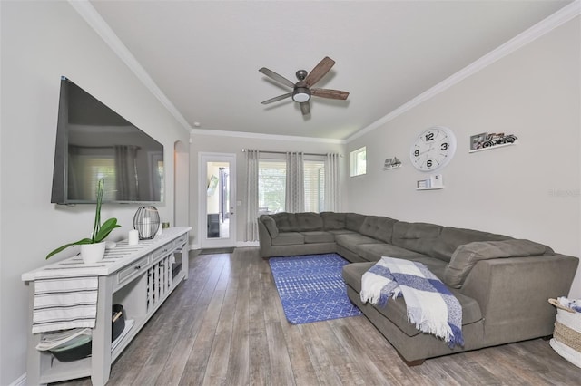 living room with ceiling fan, wood-type flooring, and crown molding