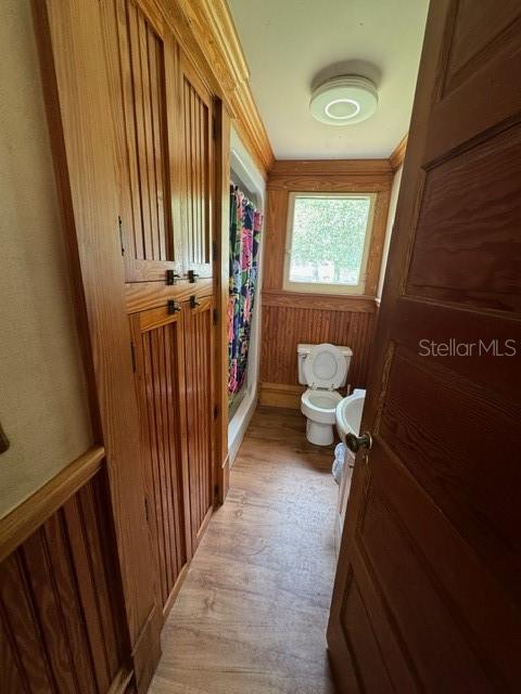 bathroom with wood-type flooring and toilet