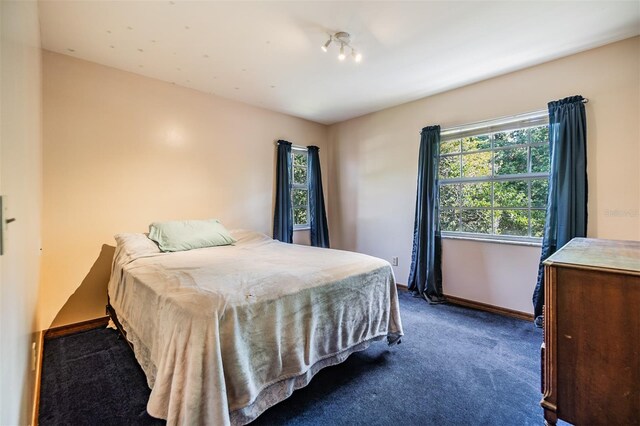 bedroom with baseboards and carpet