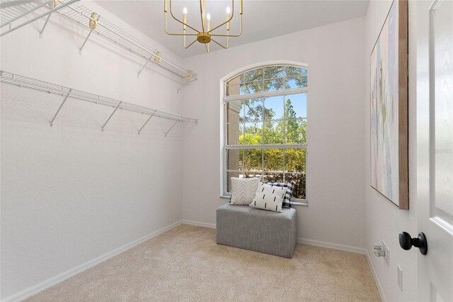 spacious closet with carpet flooring and an inviting chandelier