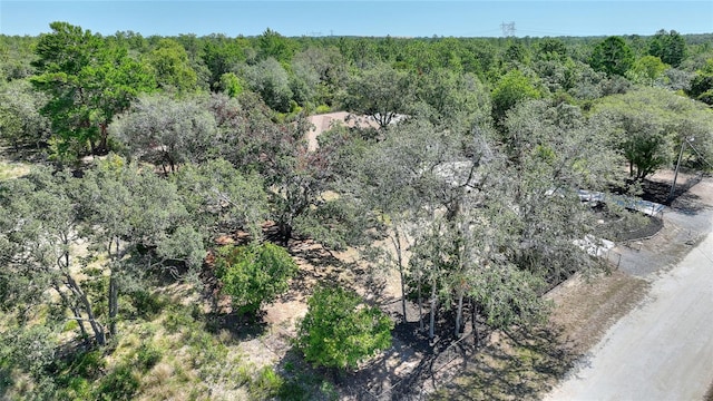 view of bird's eye view