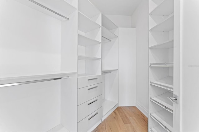 walk in closet with light wood-style flooring