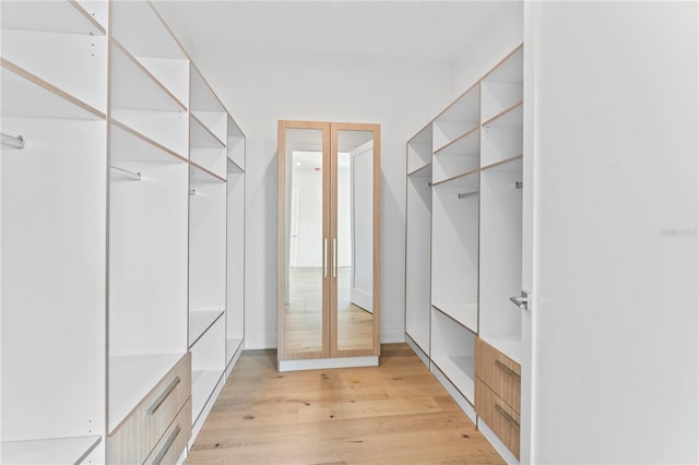 walk in closet with light wood-type flooring