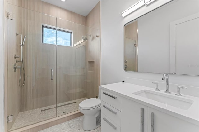 full bathroom featuring vanity, a shower stall, and toilet