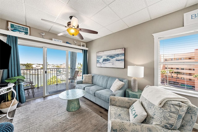 living room with ceiling fan, hardwood / wood-style floors, and a drop ceiling