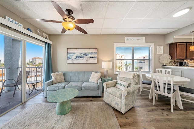 living area with a paneled ceiling, a ceiling fan, wood finished floors, and a healthy amount of sunlight