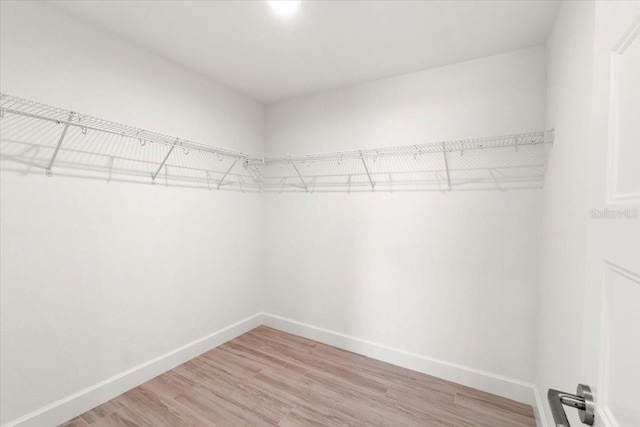 walk in closet featuring hardwood / wood-style floors