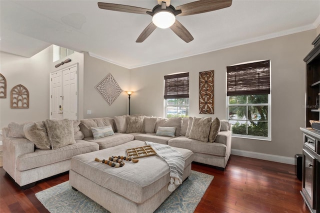 living room with ceiling fan, crown molding, and dark wood-type flooring