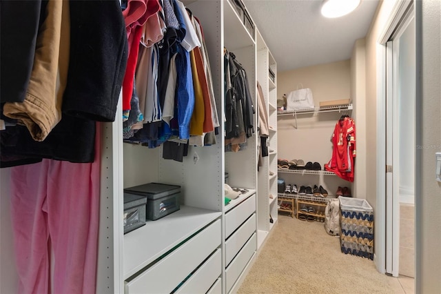 spacious closet with light carpet