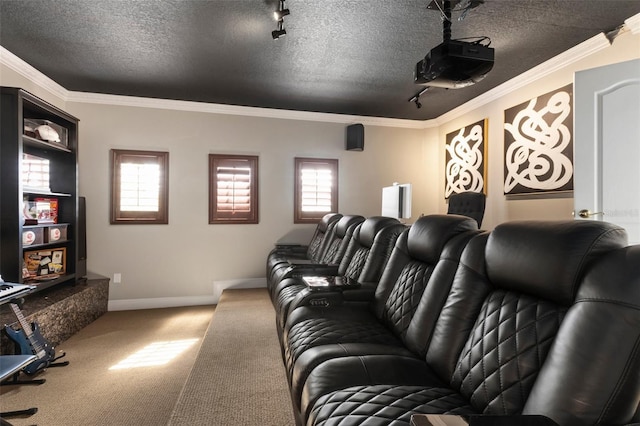 cinema featuring a textured ceiling, carpet floors, track lighting, and a healthy amount of sunlight