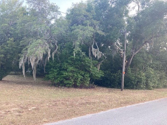 2830 Laurel Ave, Lake Wales, FL 33898 - photo 4