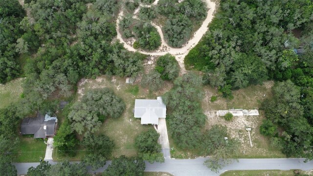 2830 Laurel Ave, Lake Wales, FL 33898 - photo 5