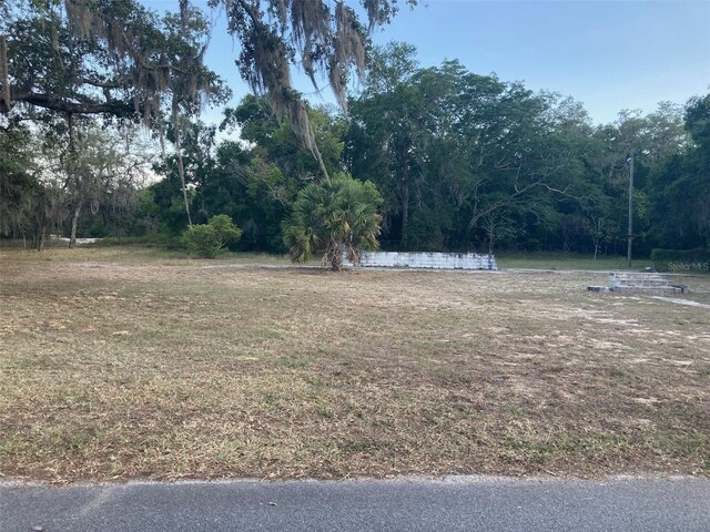 2830 Laurel Ave, Lake Wales, FL 33898 - photo 2