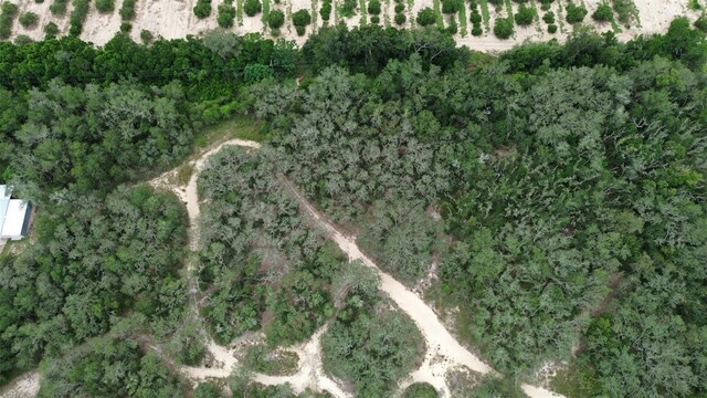 2830 Laurel Ave, Lake Wales, FL 33898 - photo 7