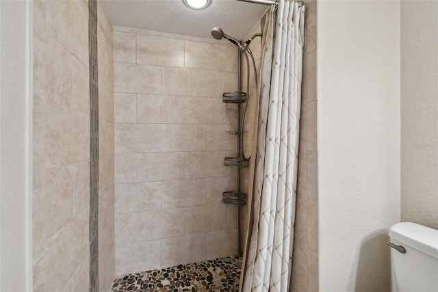 bathroom with toilet and a shower with shower curtain