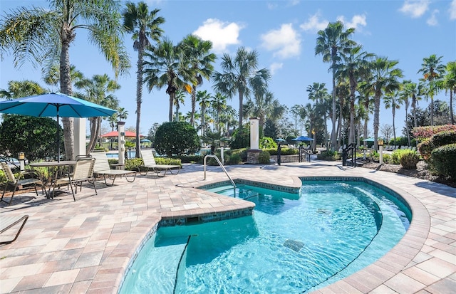 view of pool with a patio