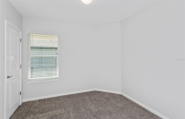 unfurnished room featuring carpet flooring and plenty of natural light