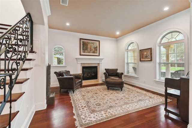 living room featuring a healthy amount of sunlight, a high end fireplace, and dark hardwood / wood-style floors