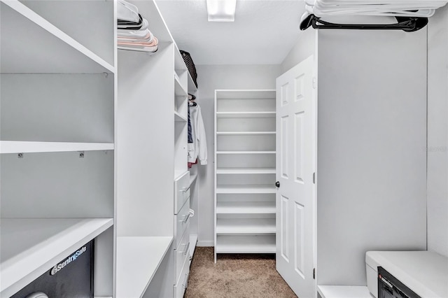 805 Woodcarver Ln, Brandon, FL 33510 - walk in closet featuring carpet