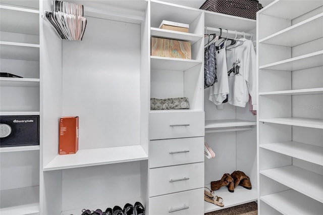 805 Woodcarver Ln, Brandon, FL 33510 - walk in closet with carpet floors