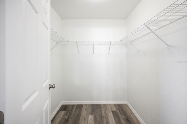 walk in closet with wood finished floors