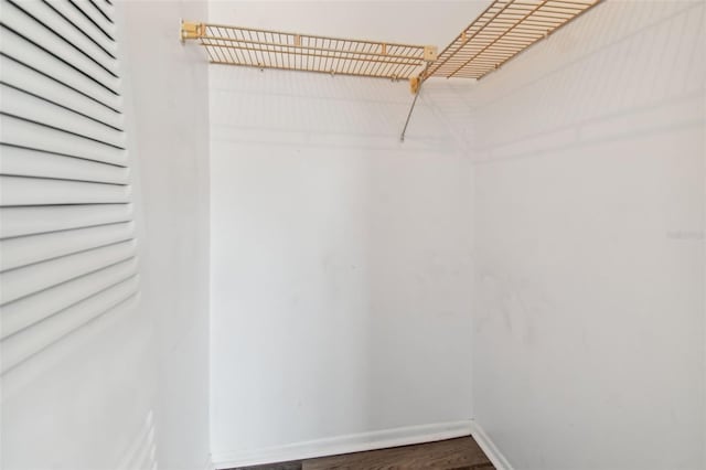 spacious closet with wood-type flooring