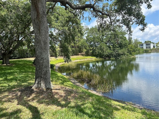 view of water feature