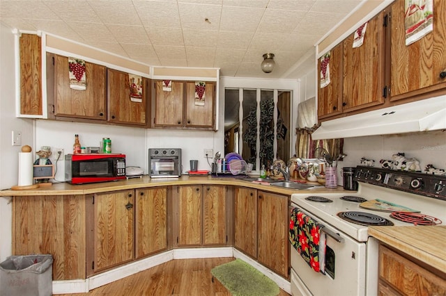 kitchen with sink, light hardwood / wood-style flooring, and electric range