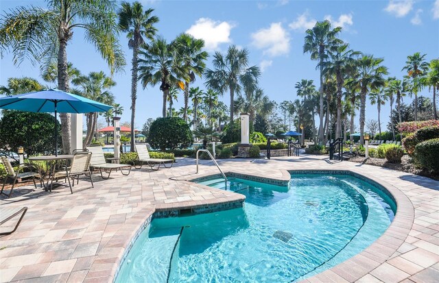 view of pool featuring a patio area