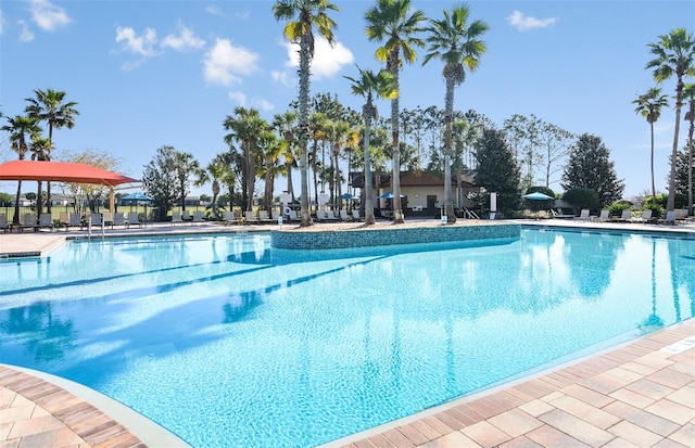 view of swimming pool featuring a patio