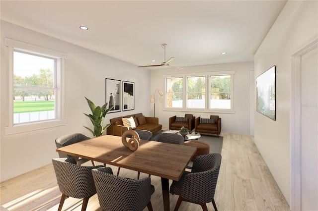 dining area featuring light hardwood / wood-style flooring and a wealth of natural light