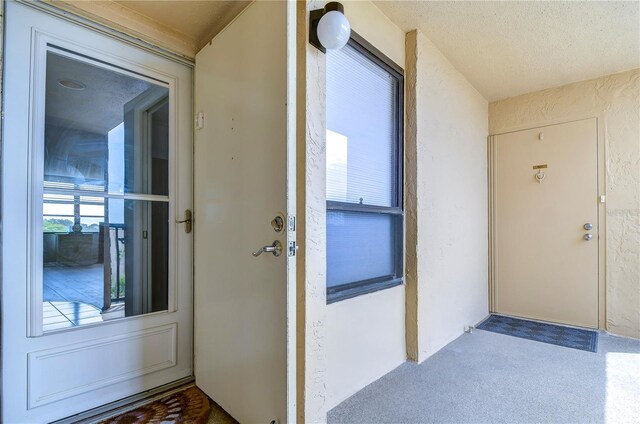 2616 Cove Cay Dr Unit 506, Clearwater, FL 33760 - photo 39